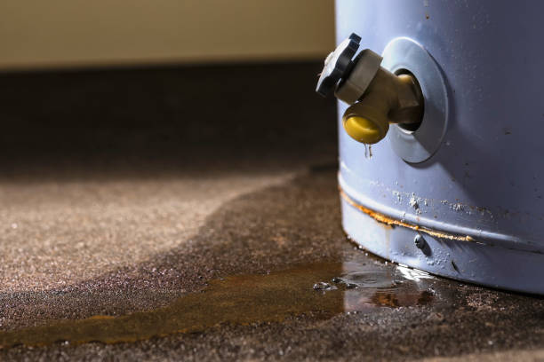  Wabasso, FL Water damage restoration Pros