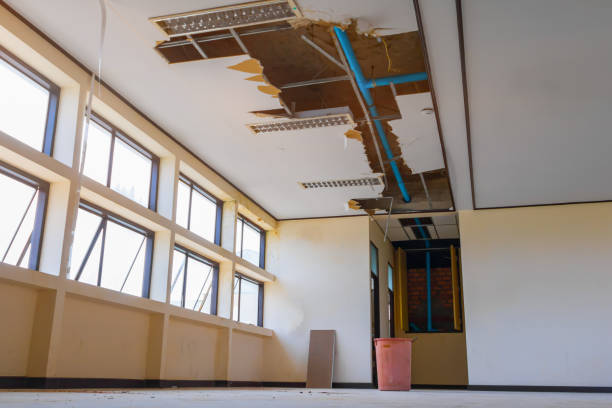 Best Flood damage cleanup  in Wabasso, FL