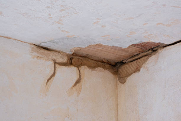 Best Local water damage restoration  in Wabasso, FL