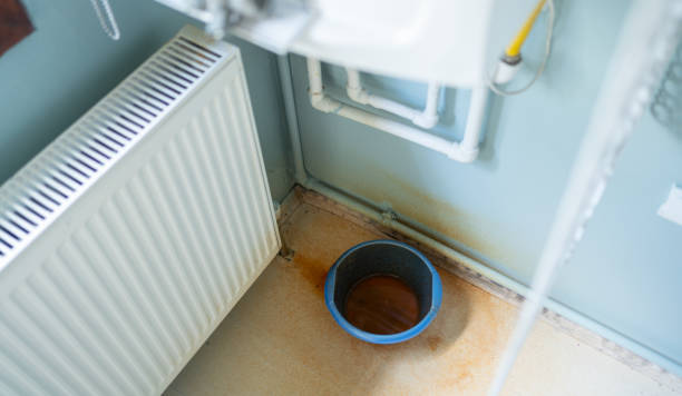 Best Ceiling water damage repair  in Wabasso, FL