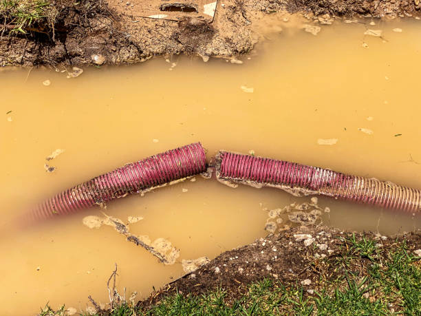 Best Sewage cleanup and water damage restoration  in Wabasso, FL