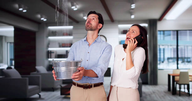 Best Water damage contractors near me  in Wabasso, FL